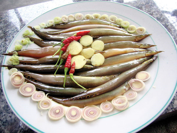 cá trạch - những thực phẩm cho người bị yếu sinh lý nam 2
