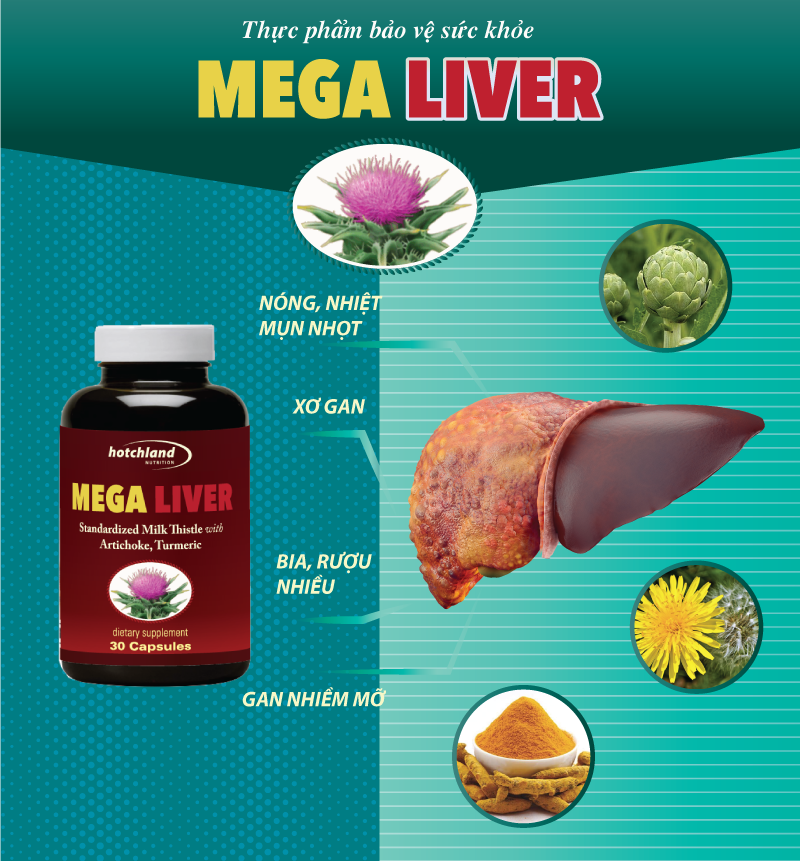 Thuốc giải độc gan Mega Liver