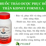 thuốc phục hồi thận kidney formula