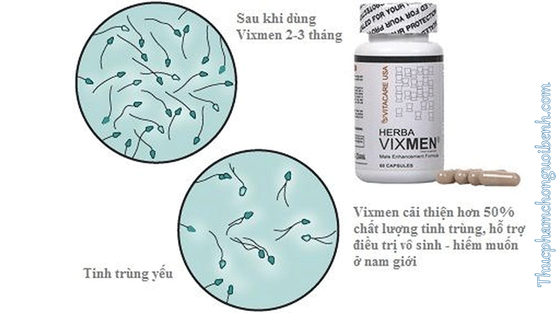 tăng cường sinh lý nam Vitacare USA Herba Vixmen