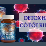 detox herb có tốt không